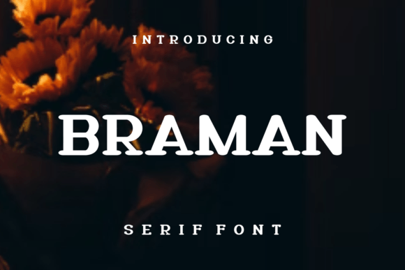 Braman Font Review: Elevating Handmade Labels and Packaging
