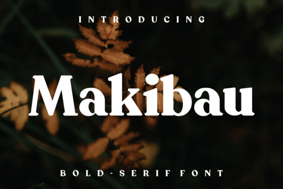 Makibau Font Review: A Unique Serif for Branding