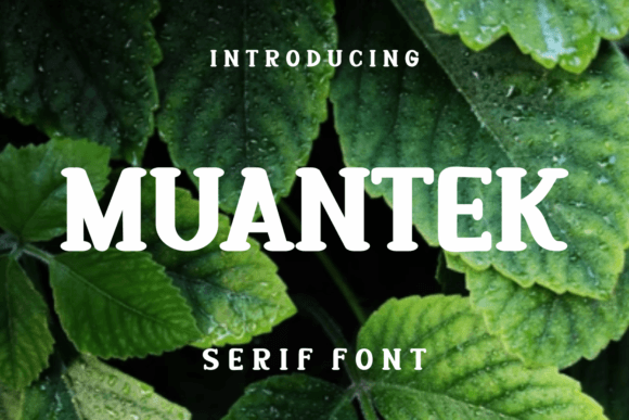 Muantek: A Unique Serif Font for Digital Marketing