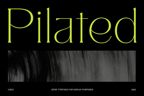 Pilated Font: Elevate Digital Marketing Visuals