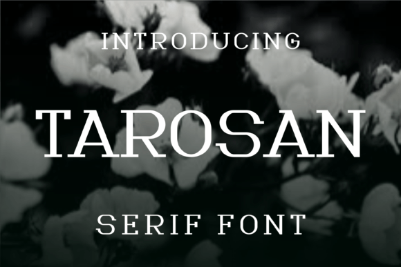 Tarosan Font Review: Elevating Editorial Layouts